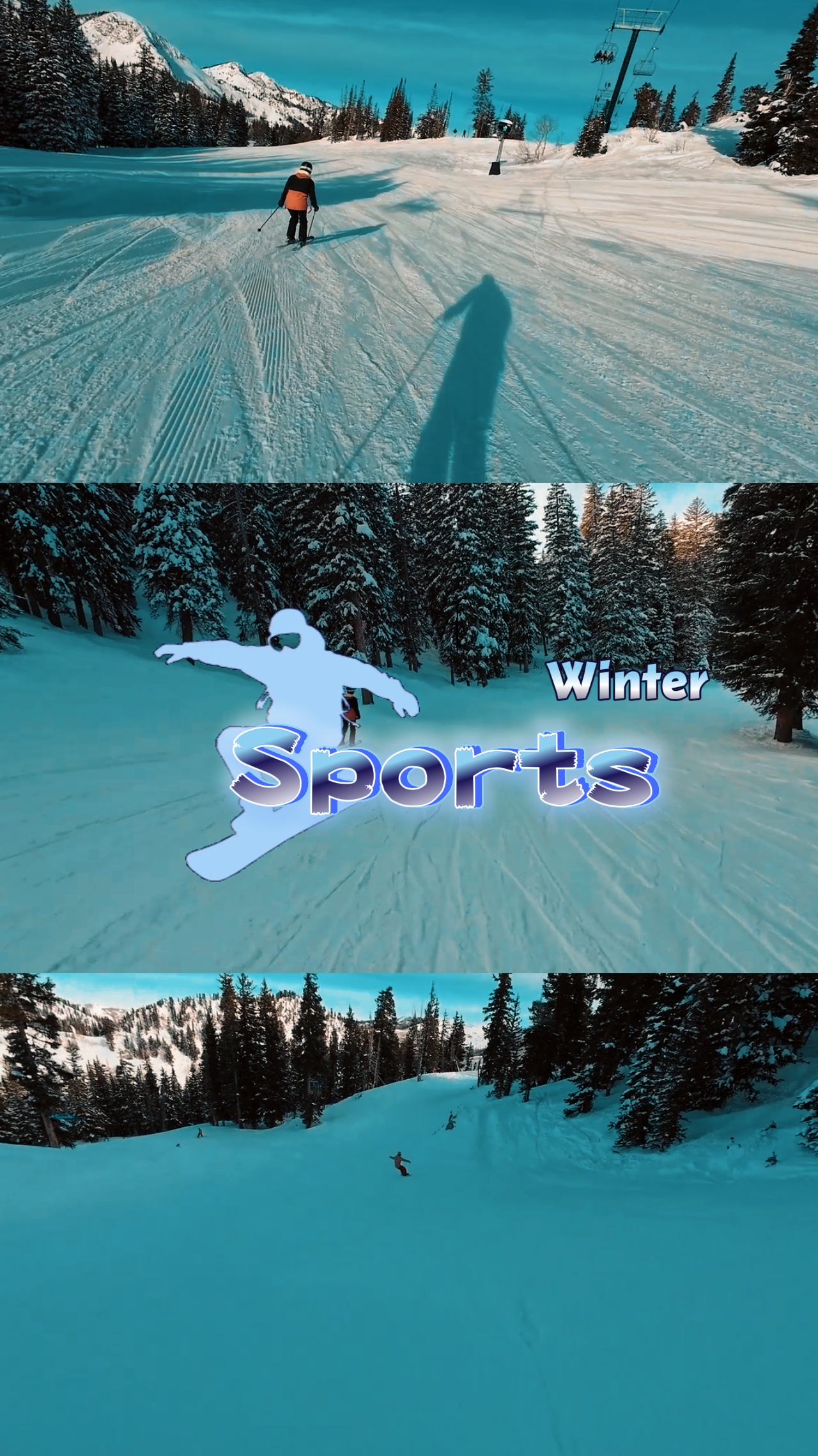 SPORTS WINTER 