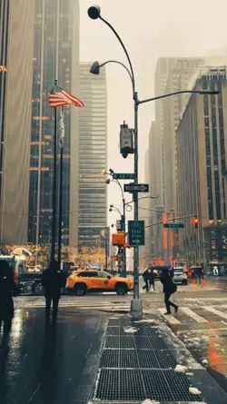 1 video + 4 photo