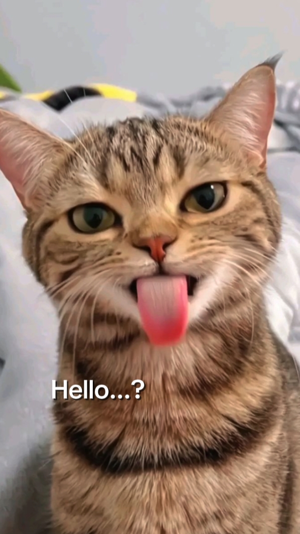 Salut? C'est moi..