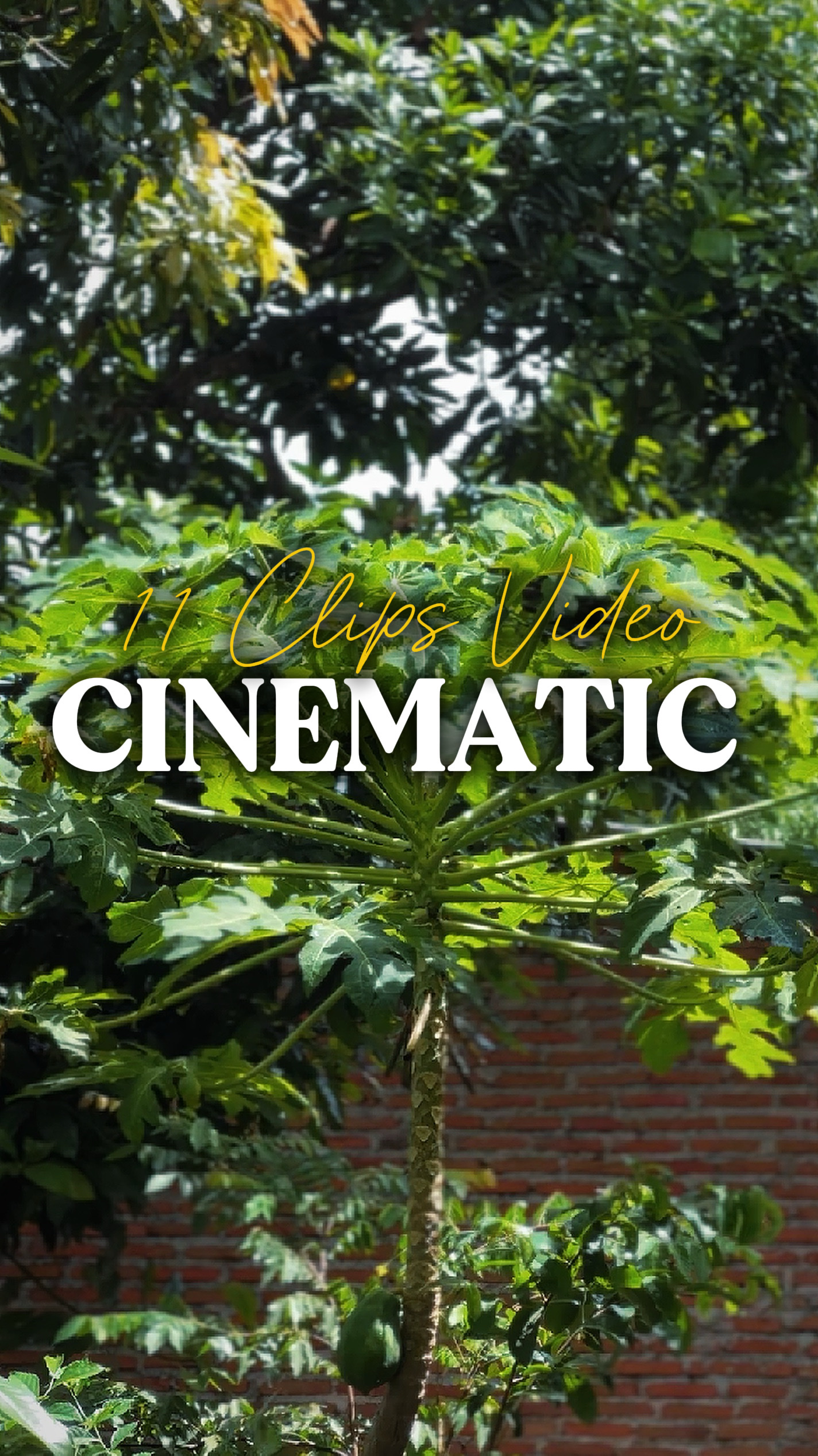 CINEMATIC 11 CLIPS