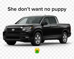 Big dog
