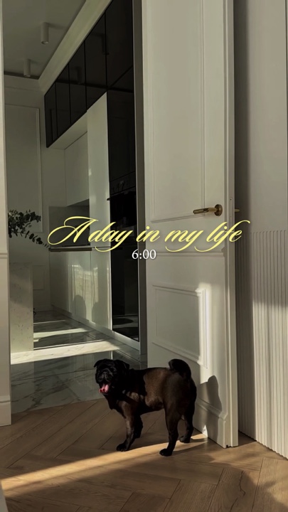 Dia na minha vida vlog