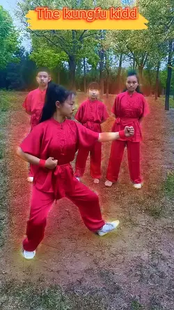 The kungfu kidd