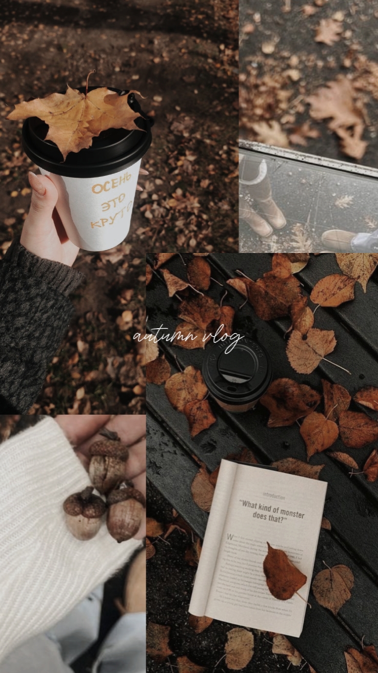 Herbst-Vlog