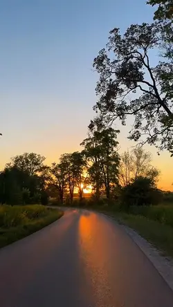 Mini•vlog