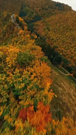 autumn nature