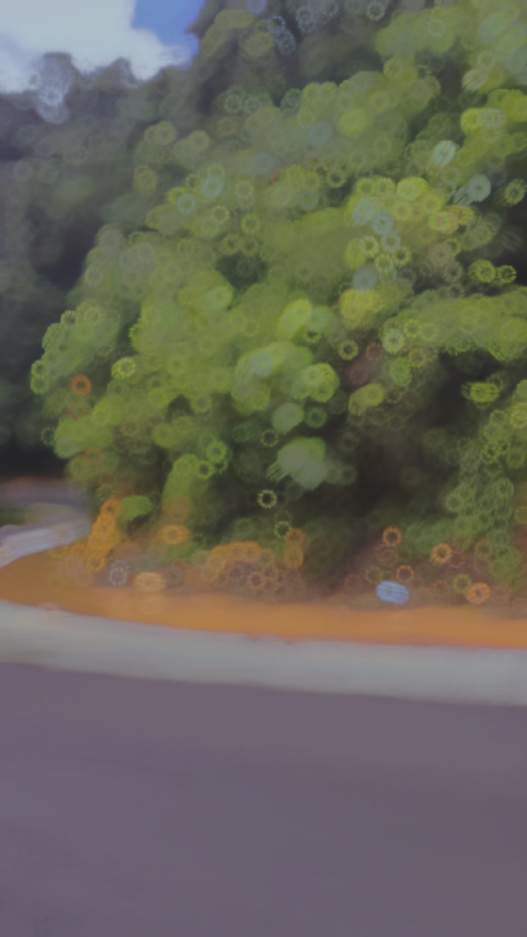 Natureza xslow mo
