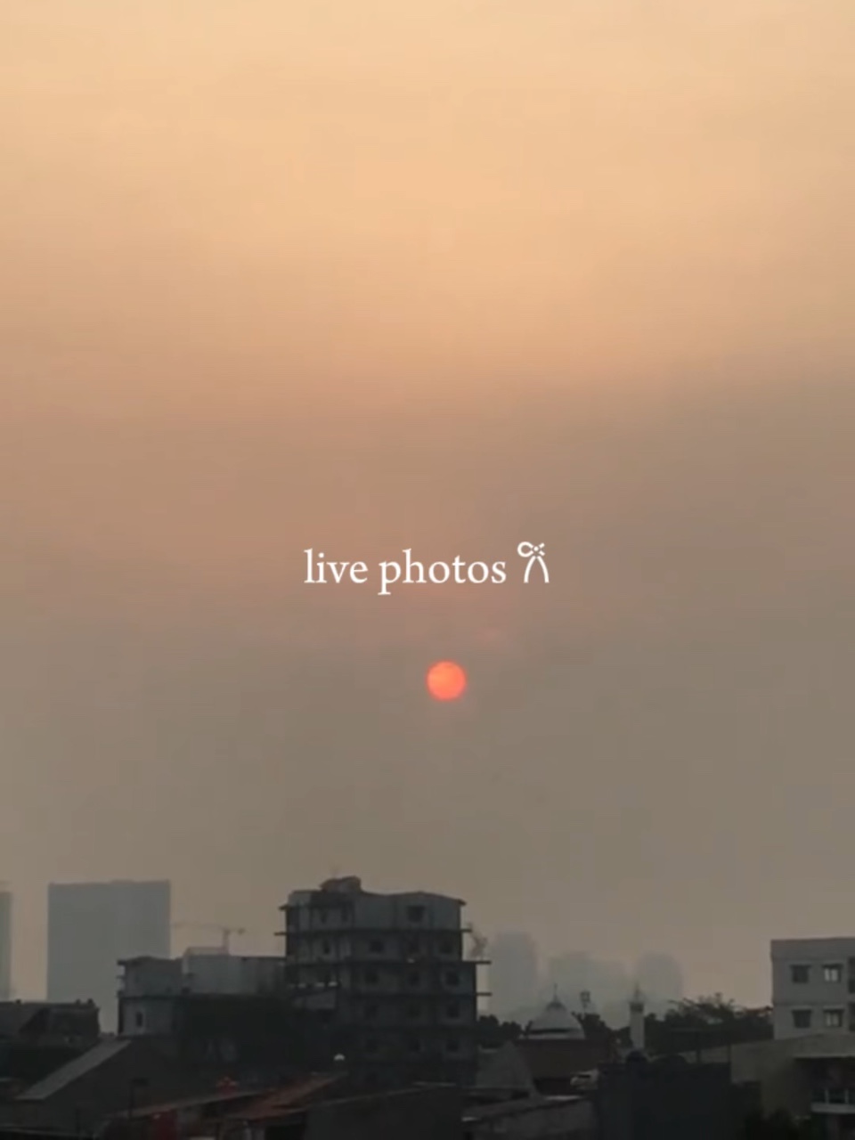 live photos 