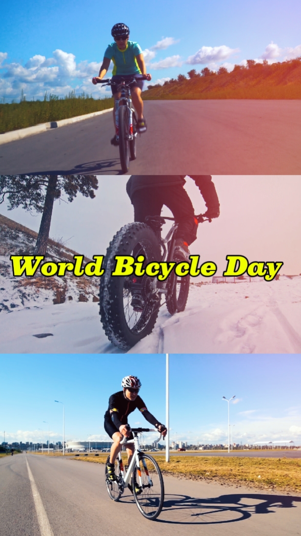 Dia Mundial da Bicicleta