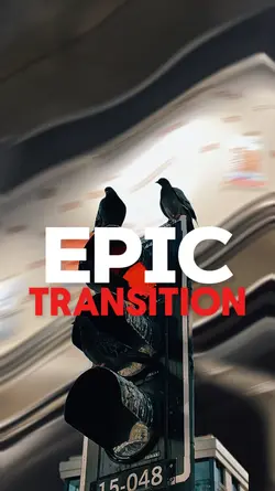 EPIC TRANSITION 