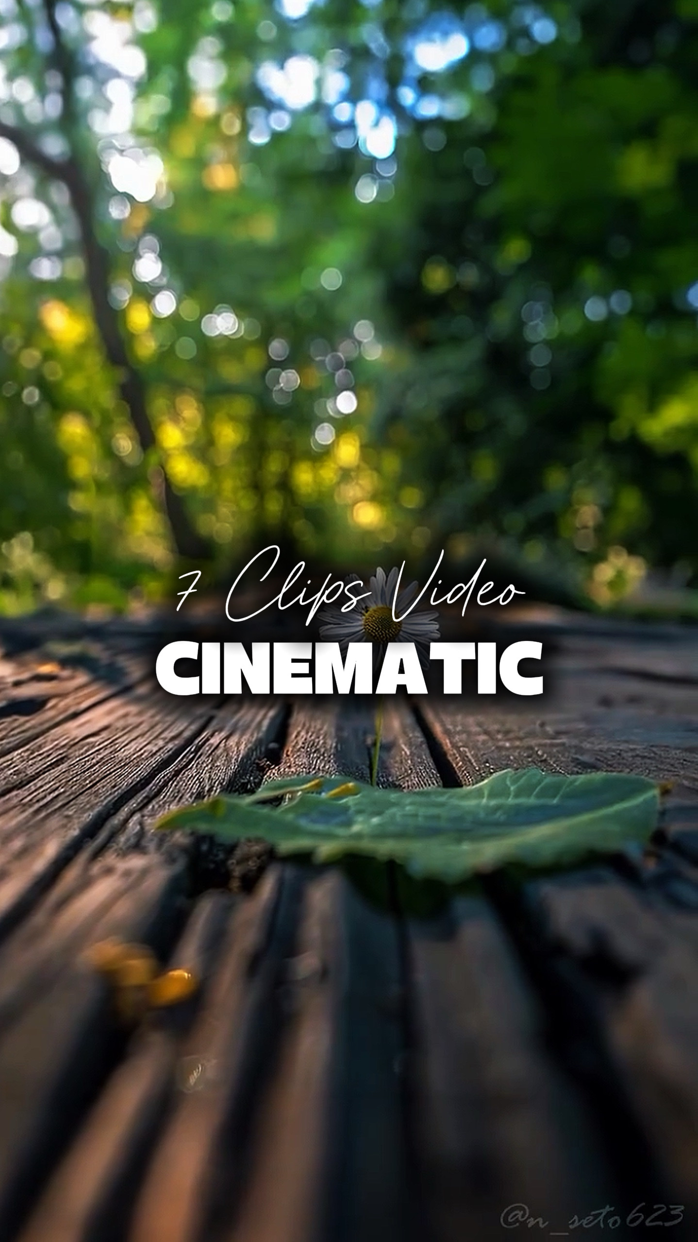 7 Clipes Vídeos 