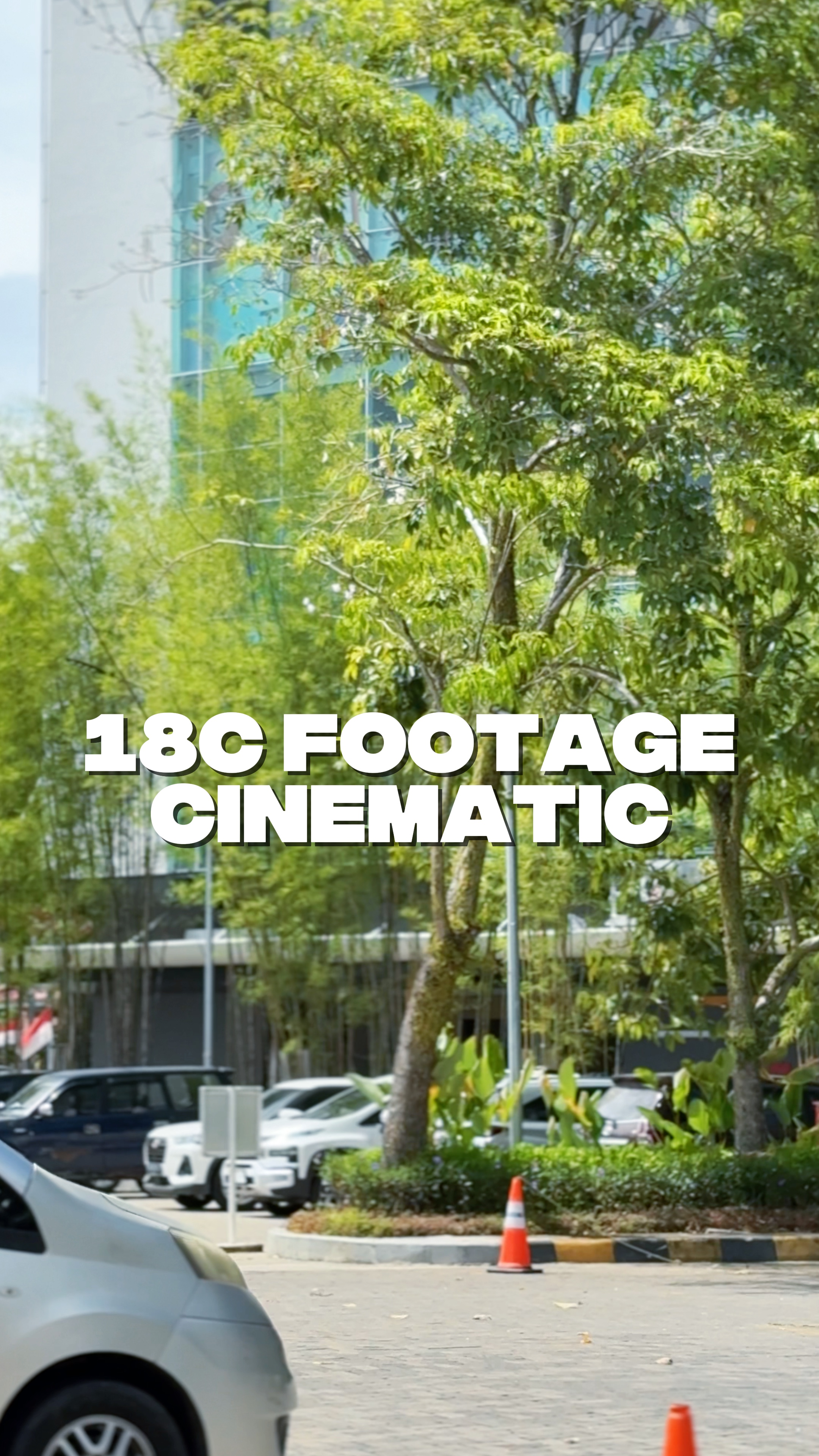 Cinematic 18C HD