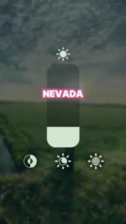 NEVADA