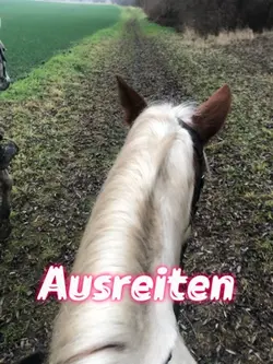 Ausreiten gehen