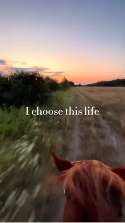 Best life