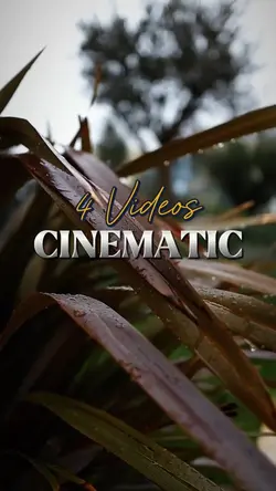 4VIDEOS CINEMATIC 