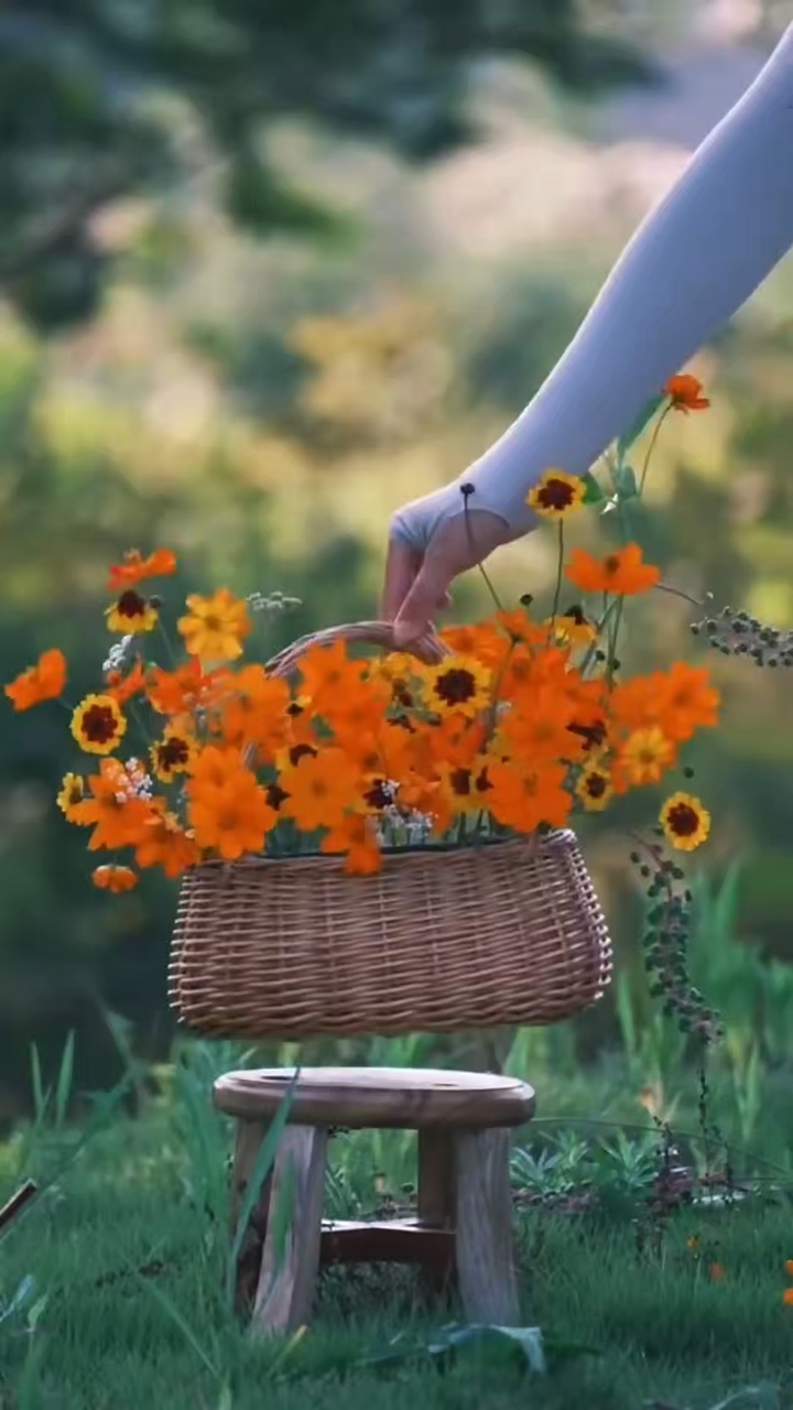 Vibraciones de la naturaleza