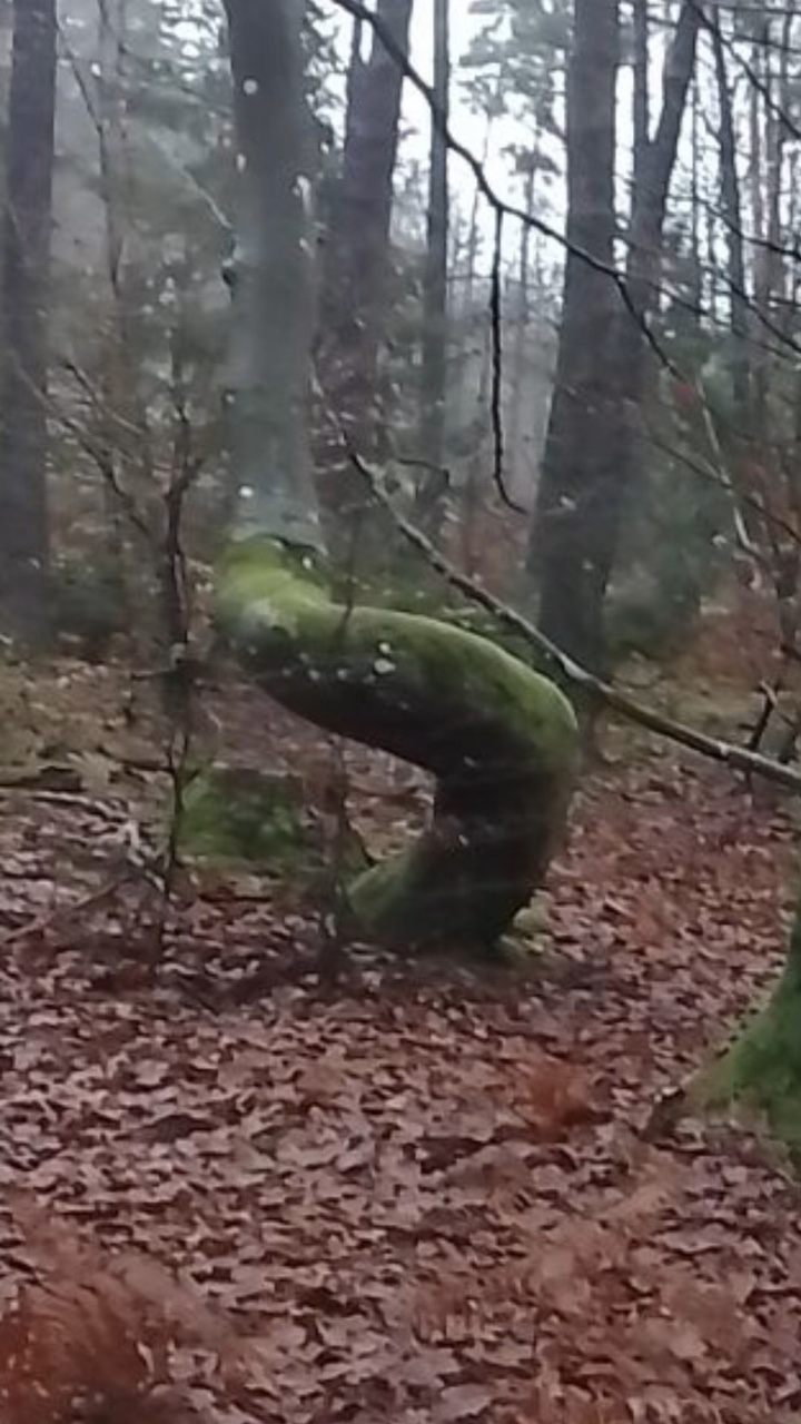 Mon meilleur ami !!