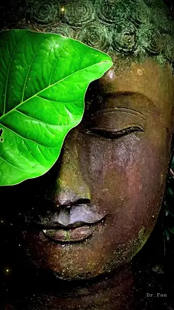 เพลงธรรมมะ