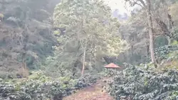 vlog curug aestetic