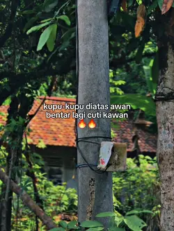 bentar lagi cuti