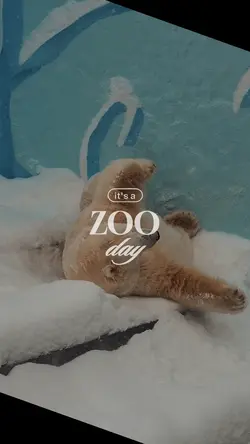 zoo day