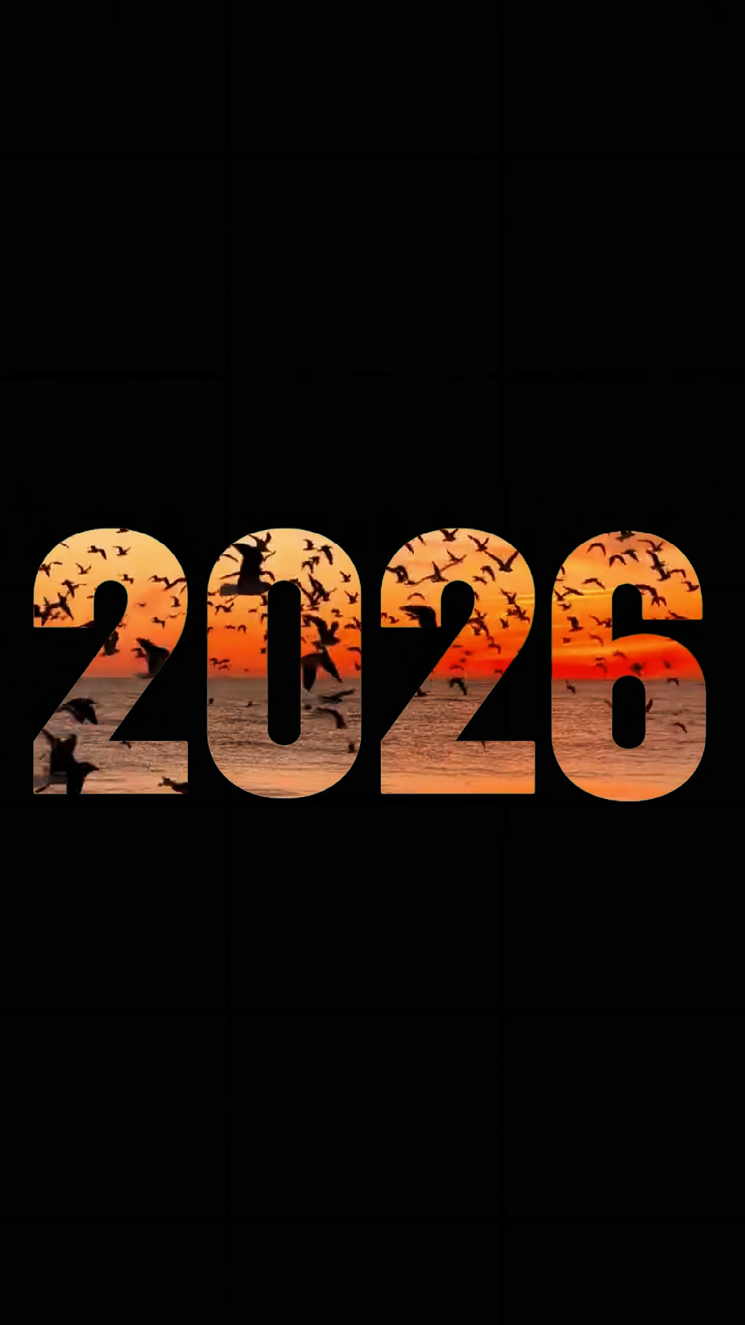 THE 2026 SEASON