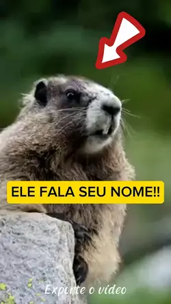 Ele fala seu nome kk