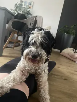 u r my rescue story!