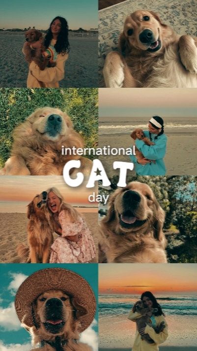 Cat day