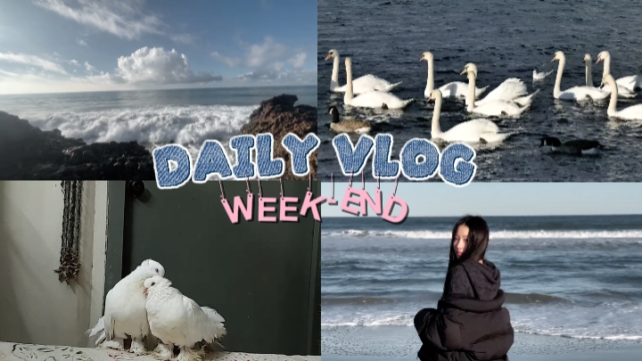 Vlog de abertura 