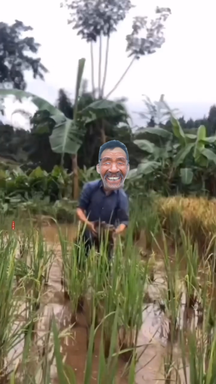 Hài hóquei vui v