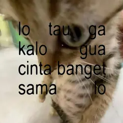 kata² anomali