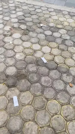 mentahan video
