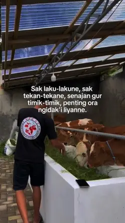 sak lakuΒ²ne