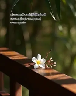 အေးအေးချမ်းချမ်းနေရတာကိုသဘောကျ🫶