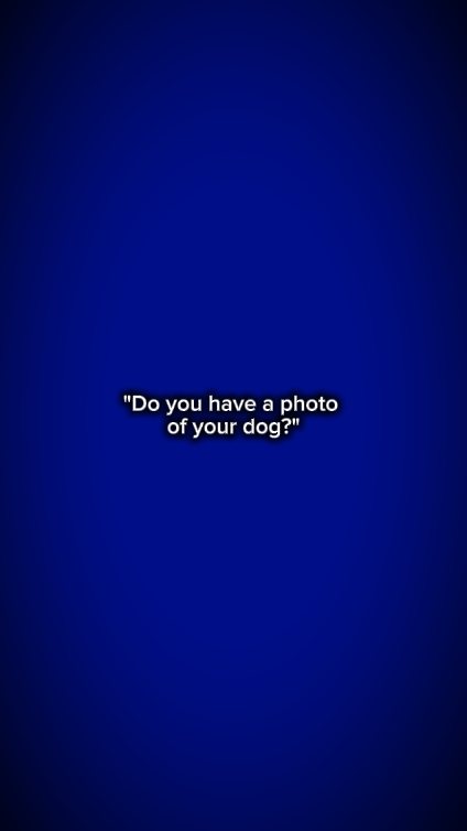 photo of your dog 