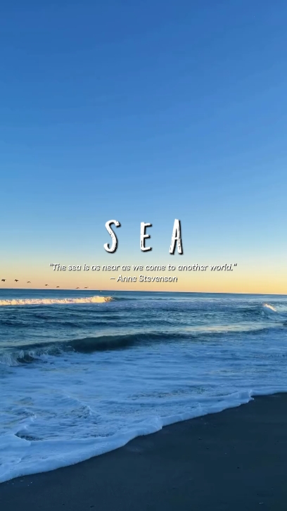 Tentang SEA