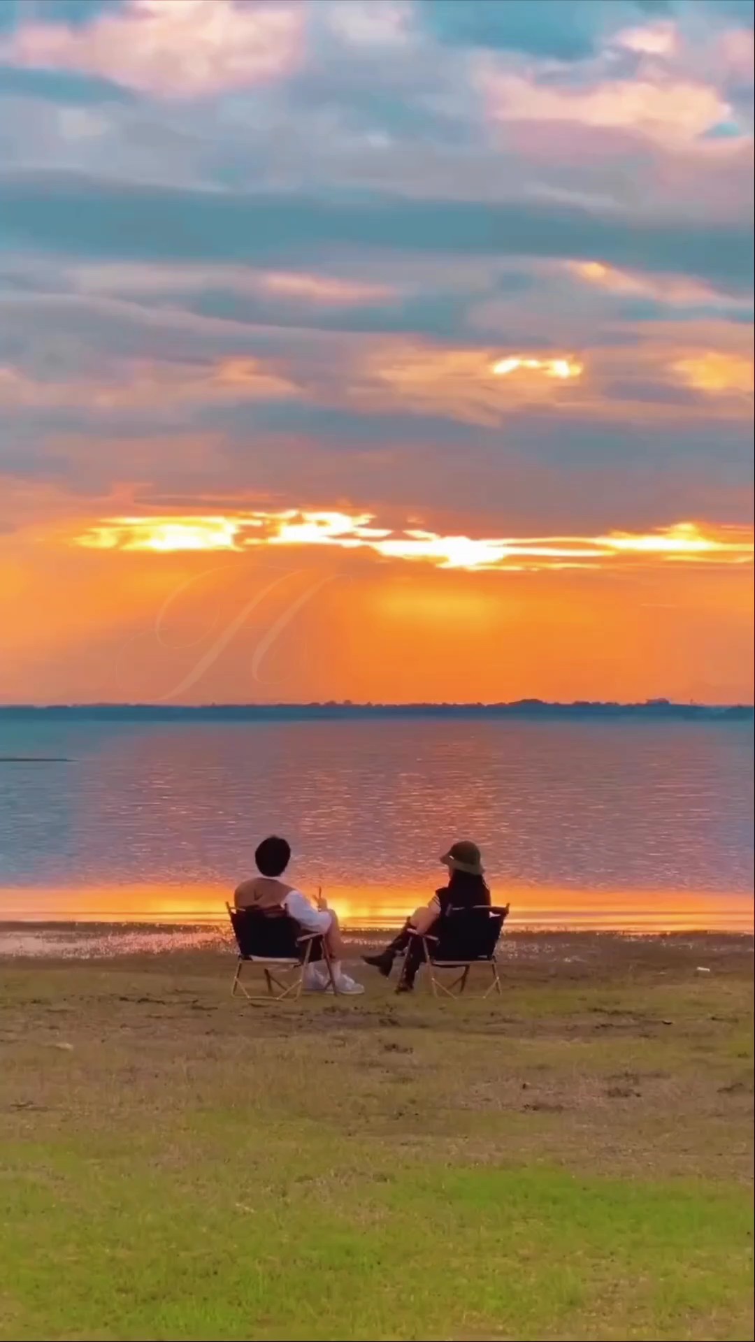 Summer Nights 