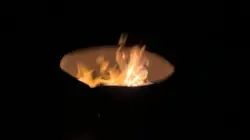 Ari firenight