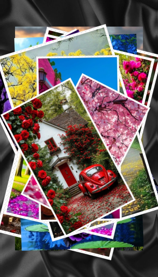 Cover Picture
