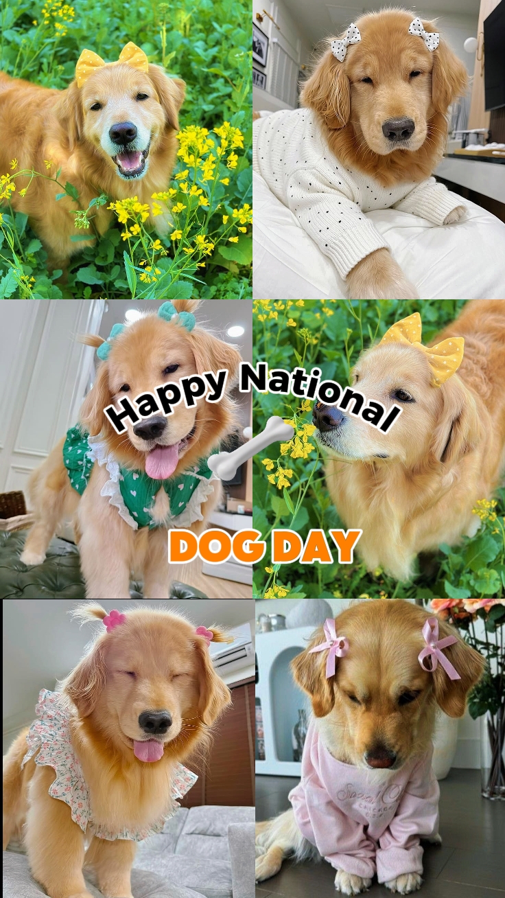 Dia nacional do cão