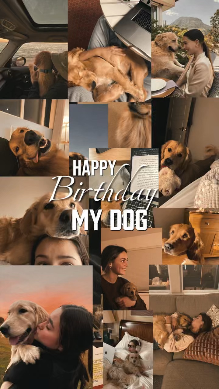 Aniversário Meu Cachorro