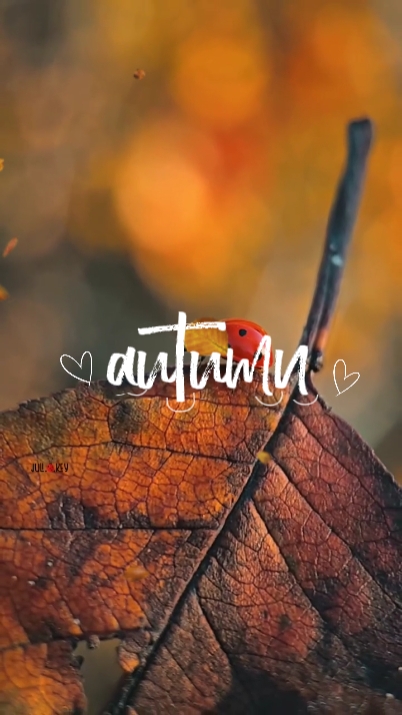 Temporada de Otoño 2025