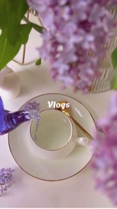 Vlog 4 video 