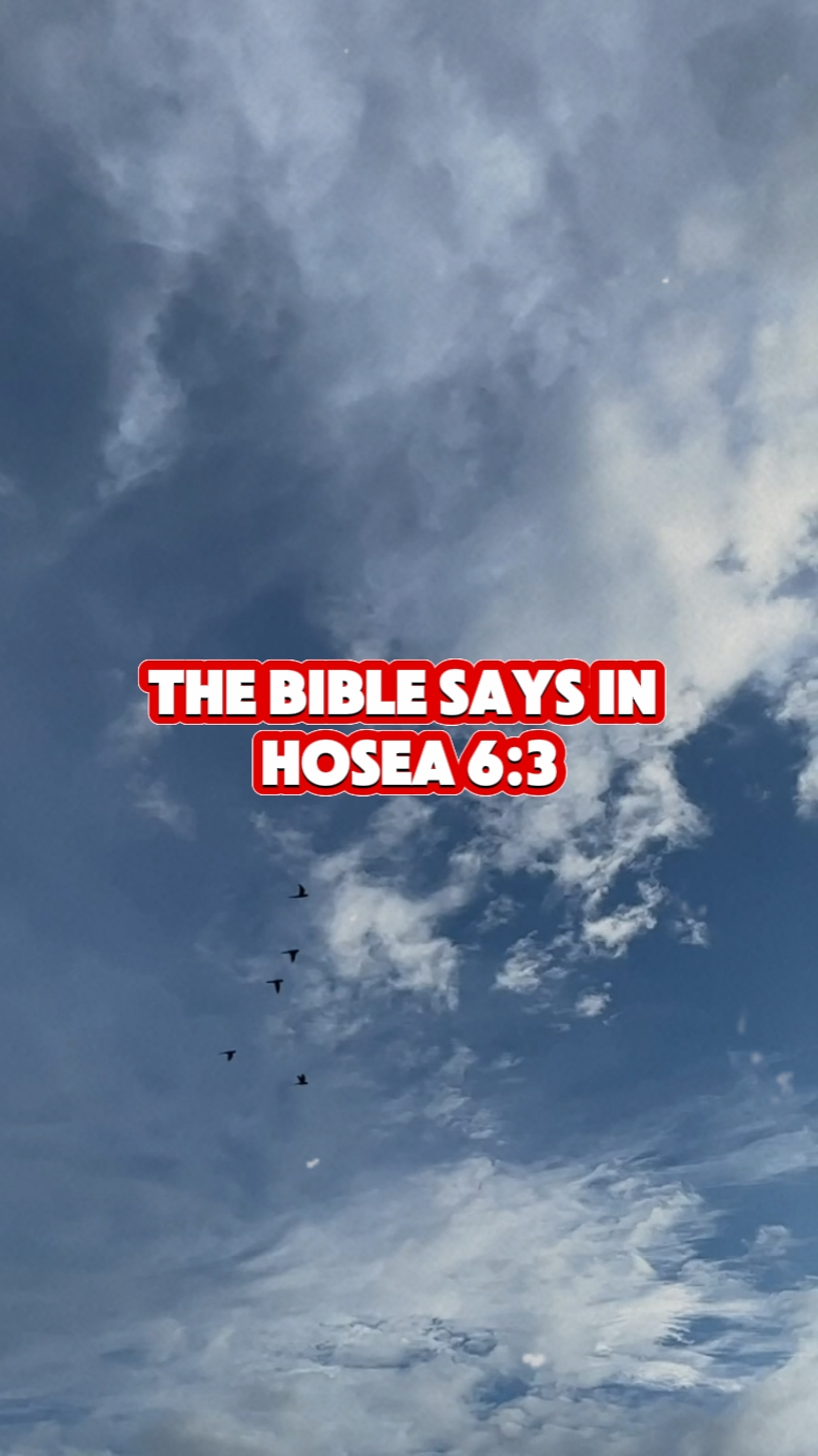 Oséias 6: 3
