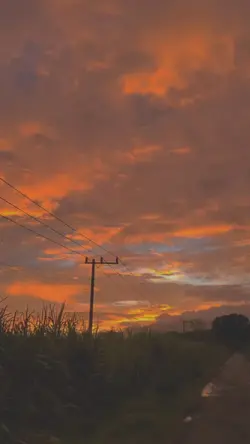 Slowmo That's SoTrue