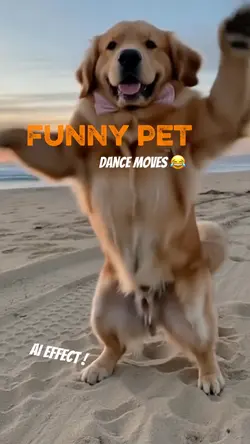 Funny pet dance 😂
