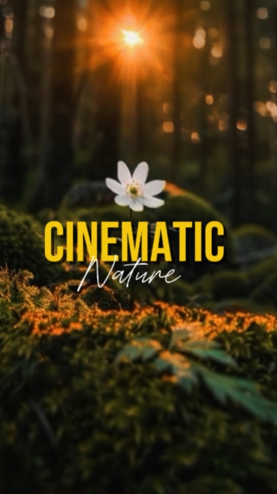 Cinematic 