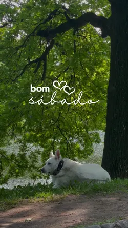 Bom sábado 